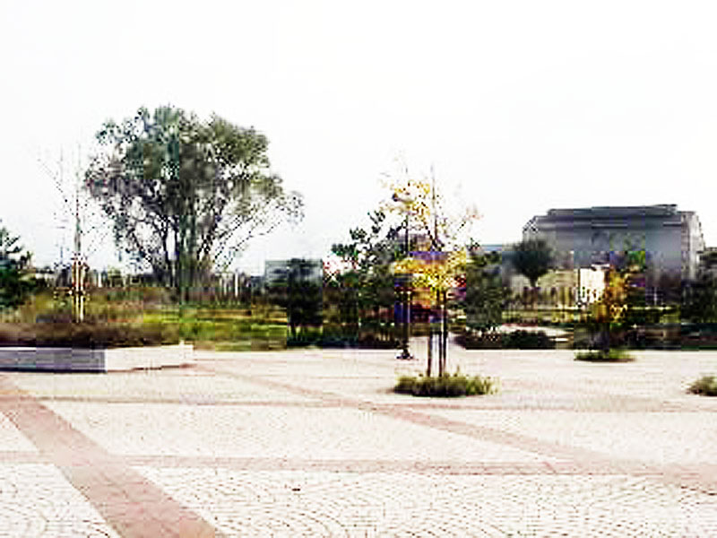 沼館緑地公園工事（1枚目）