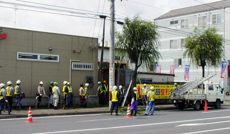 街路樹剪定講習