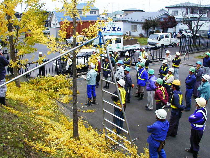街路樹剪定技術講習会