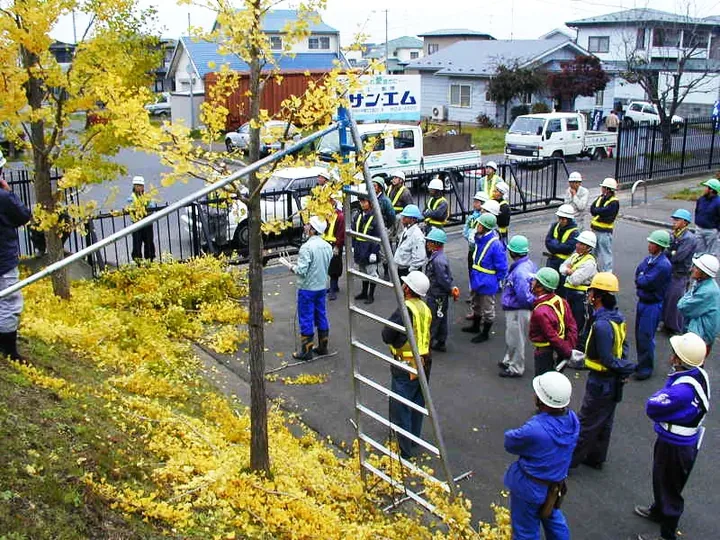 街路樹の活動の様子