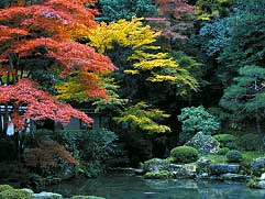 10月の緑の風景
